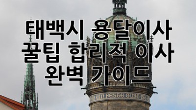 태백시 용달이사 꿀팁🍯: 합리적 이사, 완벽 가이드!