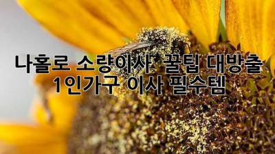 나홀로 소량이사 🏠📦 꿀팁 대방출! #1인가구 #이사 #필수템