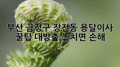 부산 금정구 장전동 용달이사🚚 꿀팁 대방출! 놓치면 손해🤫